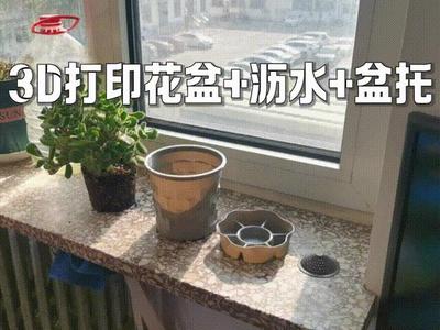 Flower Pot Kit (Pot + Drainage + Saucer)