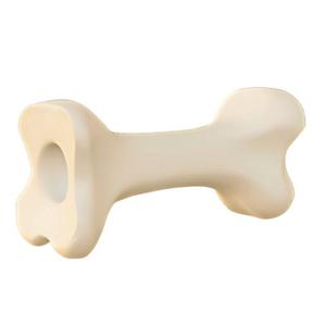 Human Femur Bone Model