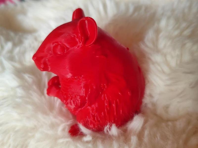 Hamster Willy Winzig