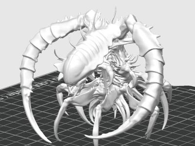 Xenomorph