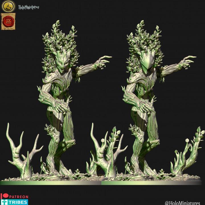 Wood elf treeman (elf)