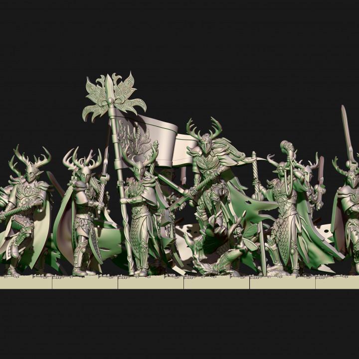 Wood elves Forest rangers (elf)