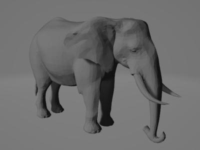 elephant
