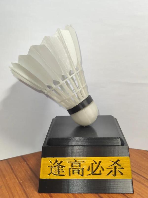 Badminton Trophy (6x3 Magnets)