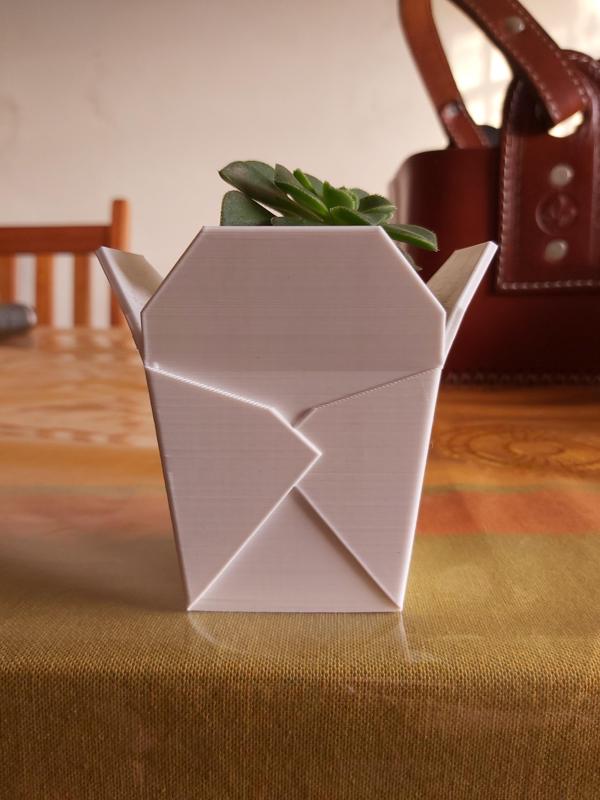 Chinese takeout box, succulent PLANTER