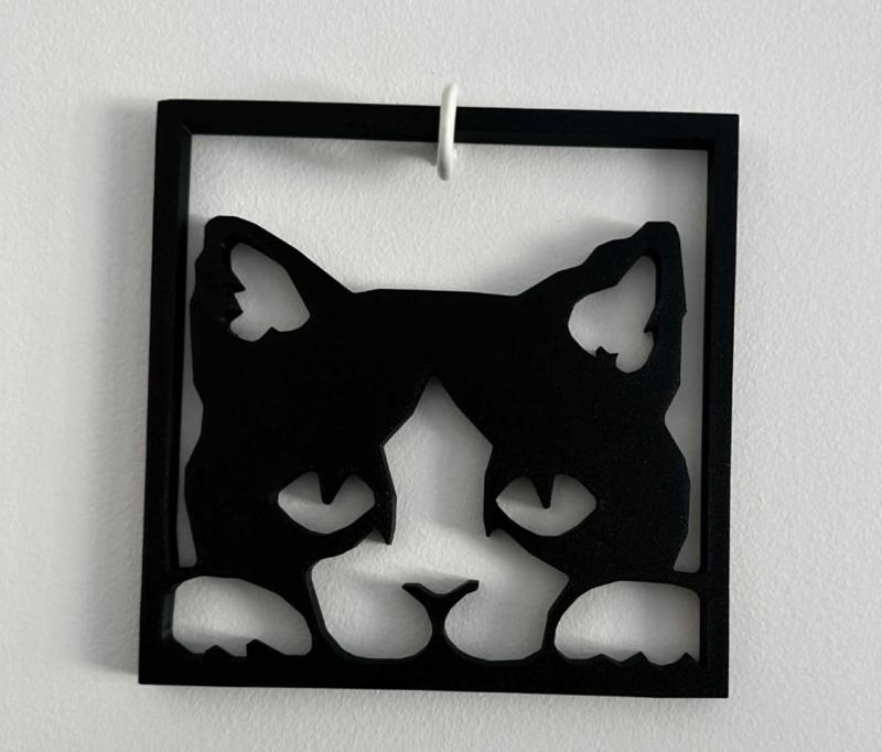 Car Lover wall silhouette decoration