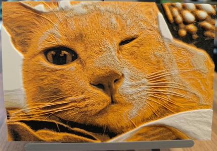 Winking orange cat (tofu) - Hueforge