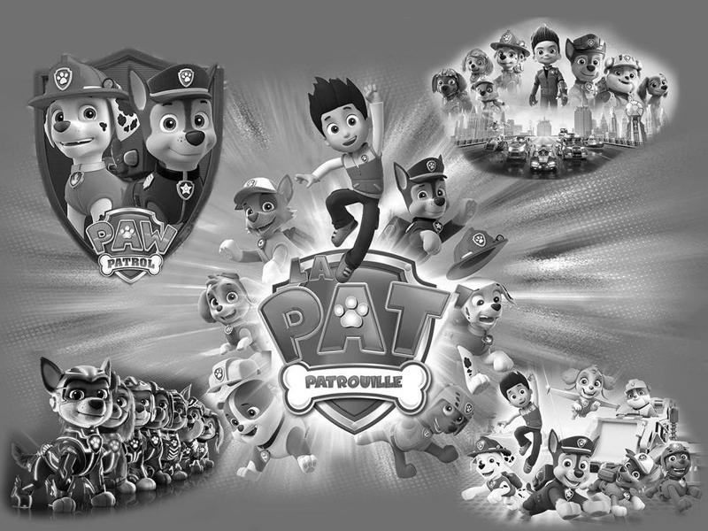 PAT patrol lampshade