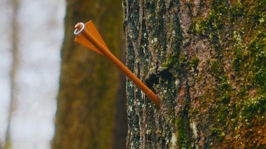 ERLENDUR’S RING AND ARROW (SEASON 4 EPISODE 9)