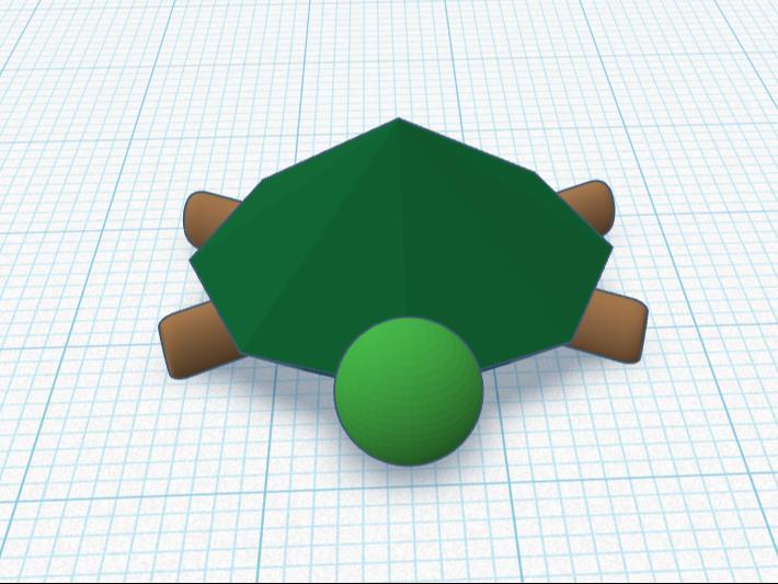 Turtle