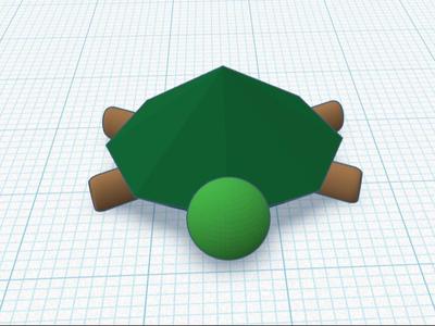 Turtle