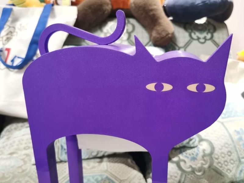 Spooked Cat Tissue Box