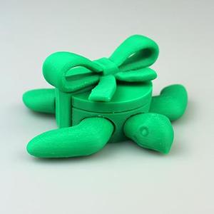 Hawksbill Sea Turtle