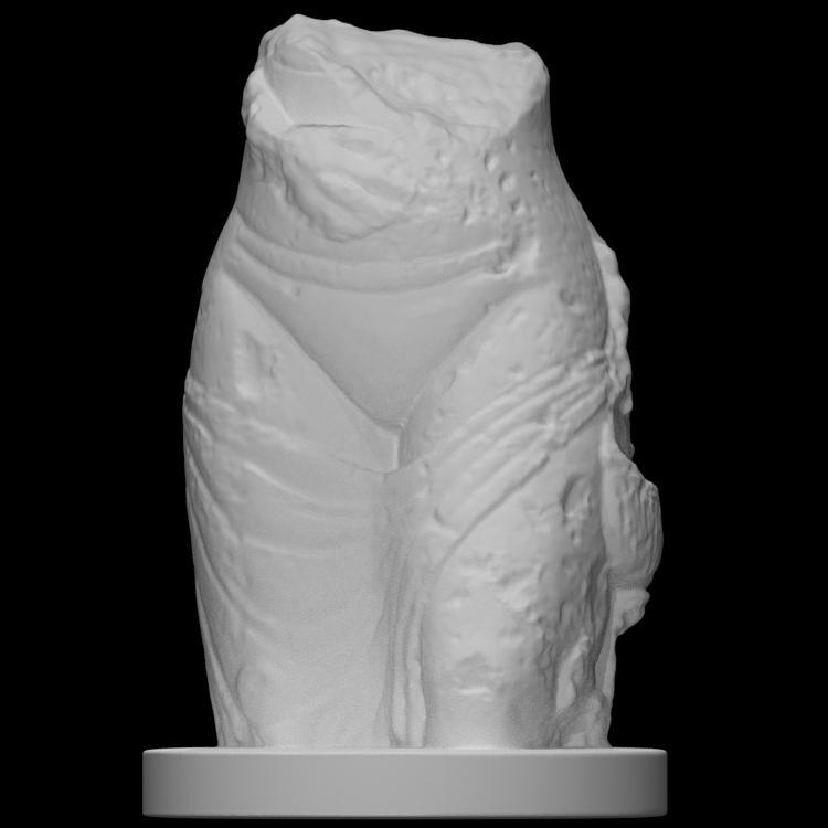 Seminude Torso of a woman