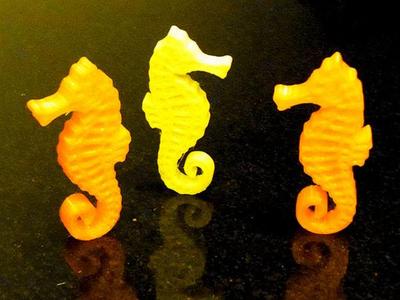 Seahorse - Balanced so it stands on its tail!