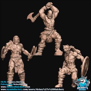 Barbarian Berserker PACK