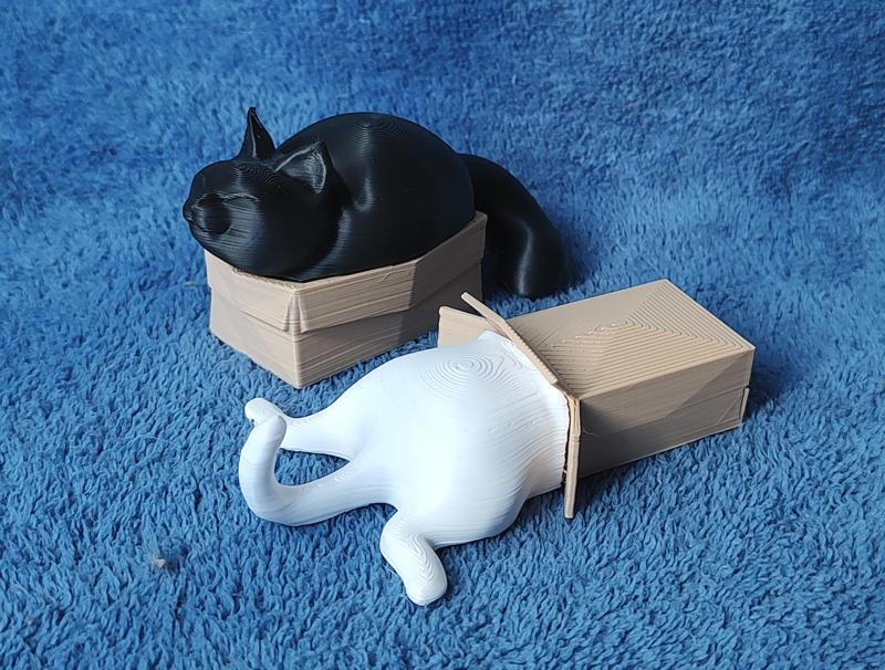 Cats in Boxes