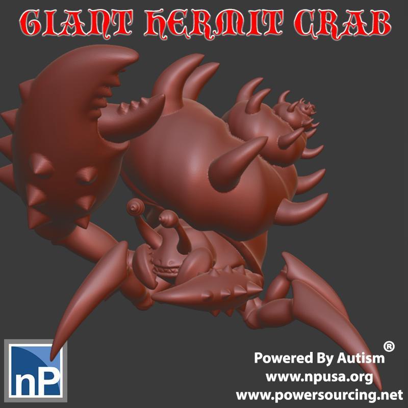 Giant Hermit Crab