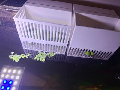 Aquarium plant boxes