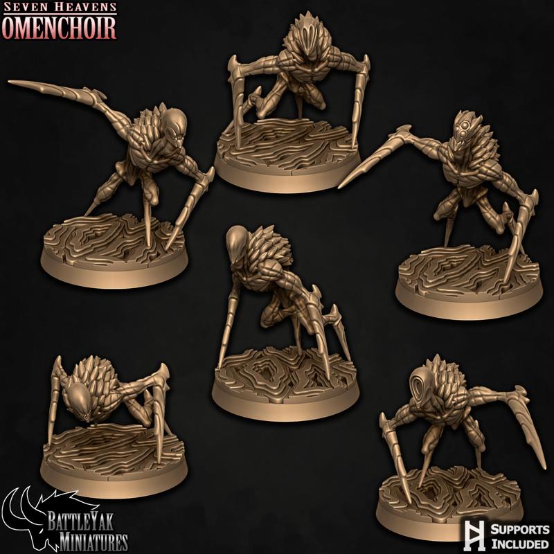 Falciori Murmur Flight