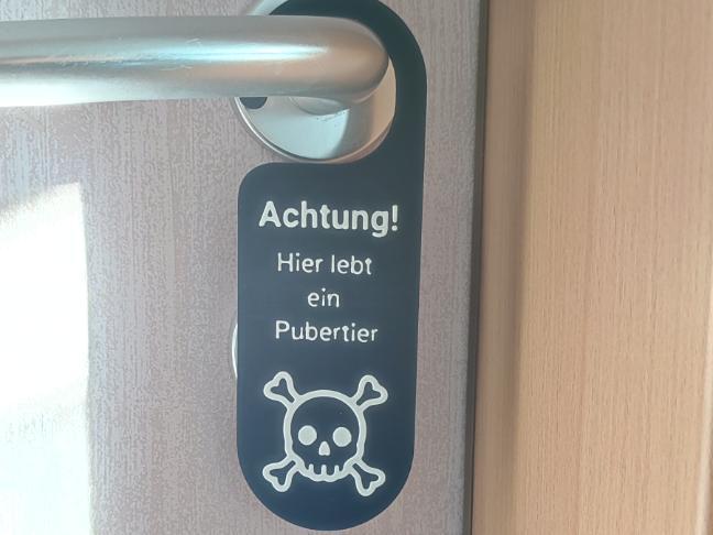 Teenager's Door Sign - Puberty - Youth Room