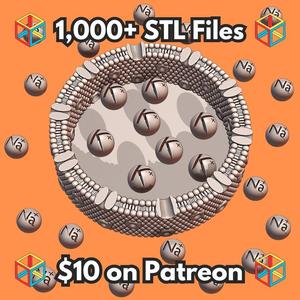 Sodium and Potassium Ion Biology Educational Model for Cell Polarization and Depolarization MineeForm FDM 3D Print STL File