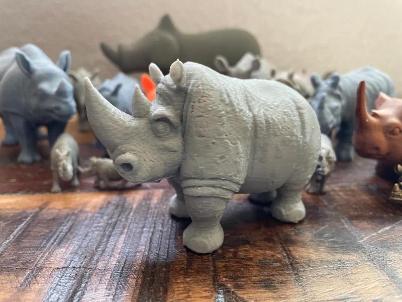 Cartoon Rhino   