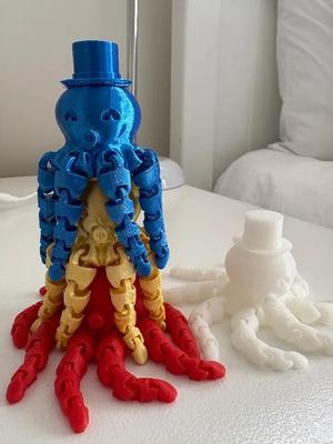 Cute Articulated Octopus   