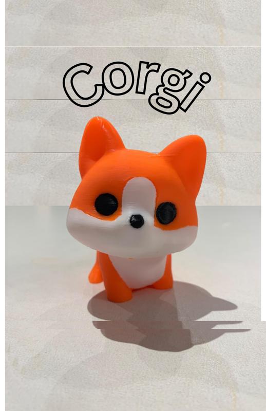 cute corgi