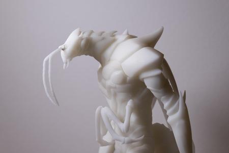 Ber  from Solo leveling (manhwha)