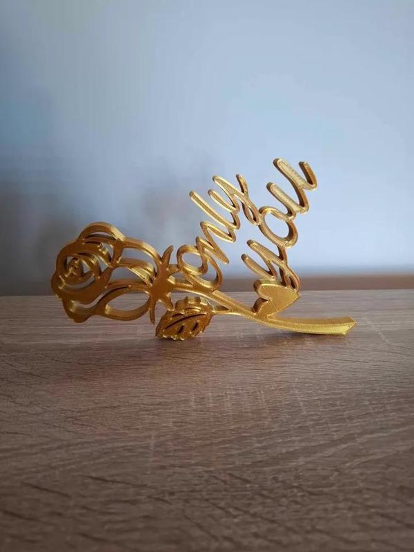 Rose Only You - Valentines Day   