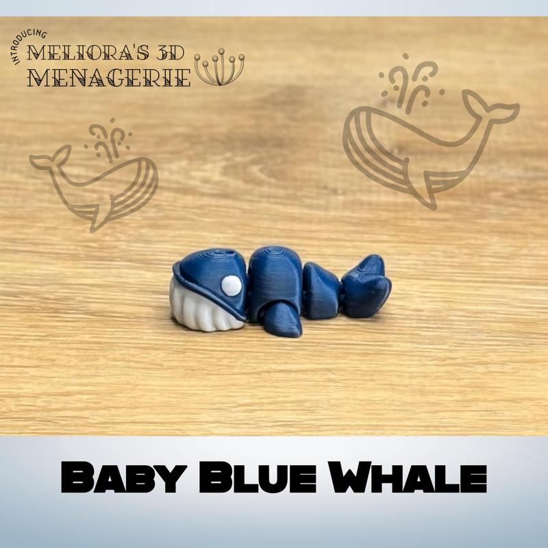 M3D - Baby Blue Whale