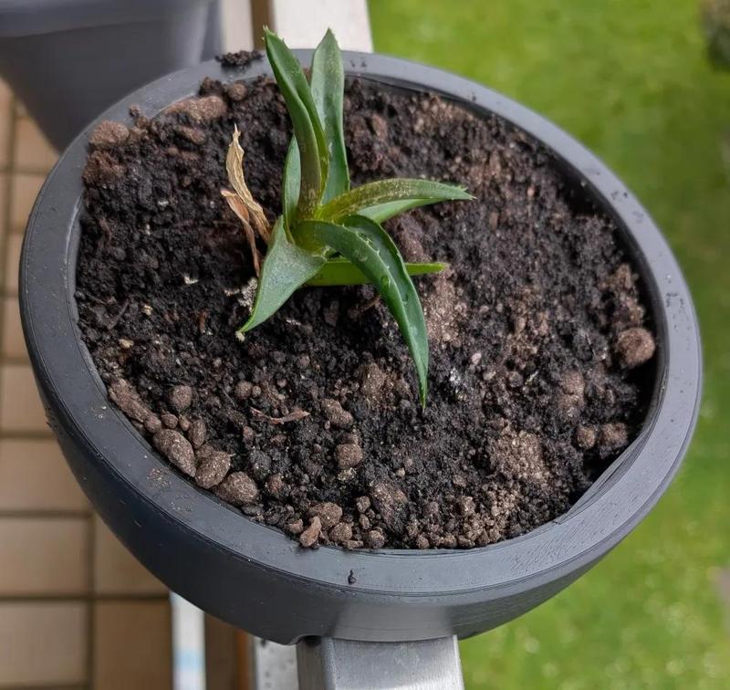 Balkony plant pot - for balkony railings   