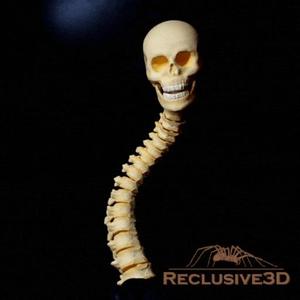 Flexi Print-In-Place Spine