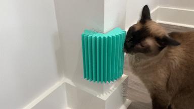 Cat Face Scratcher Groomer