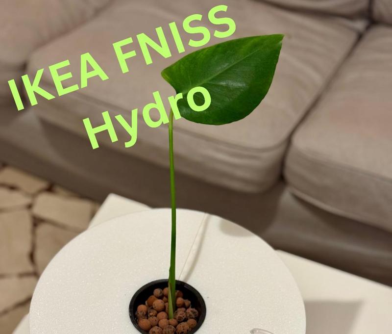 IKEA FNISS Cheap Hydroponic Bucket (DWC or KRAKTY)