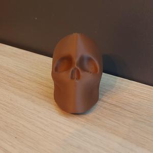 Skull