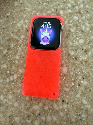 Apple Watch case, like an iPod, but not.