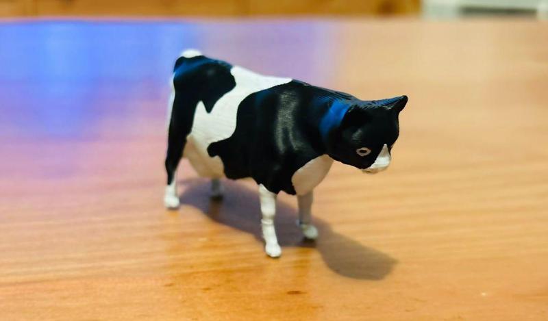 Two Color Cow Cat - COWT