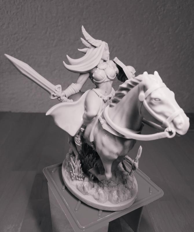 Amazon Warrior Rider