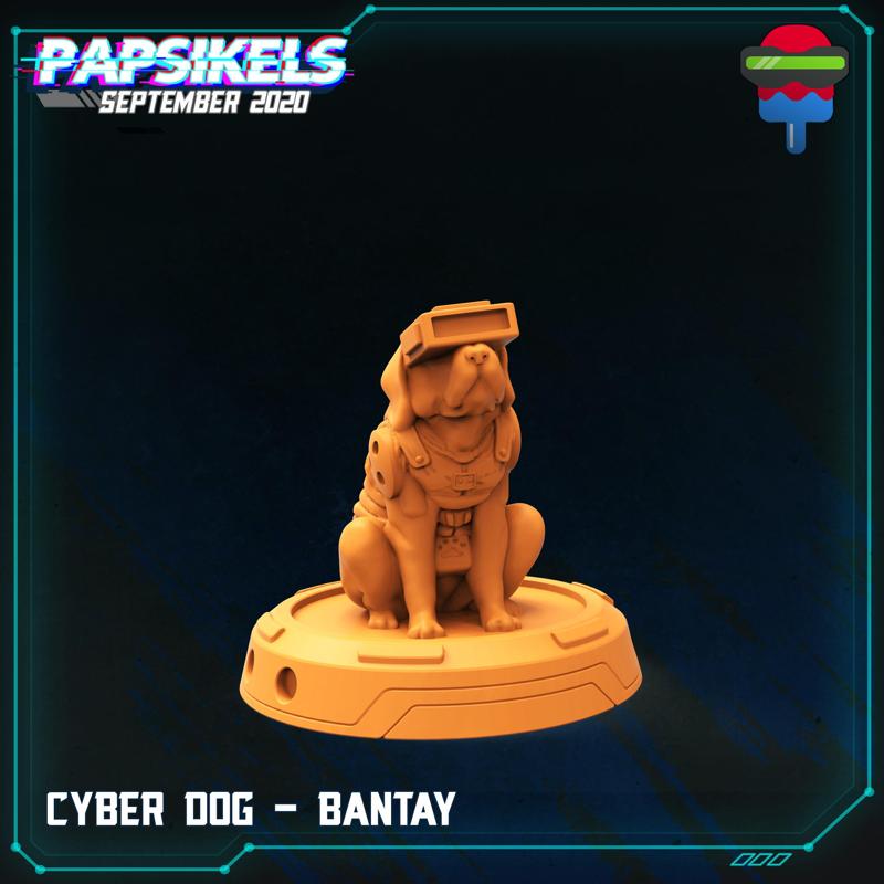 CYBER DOG BANTAY