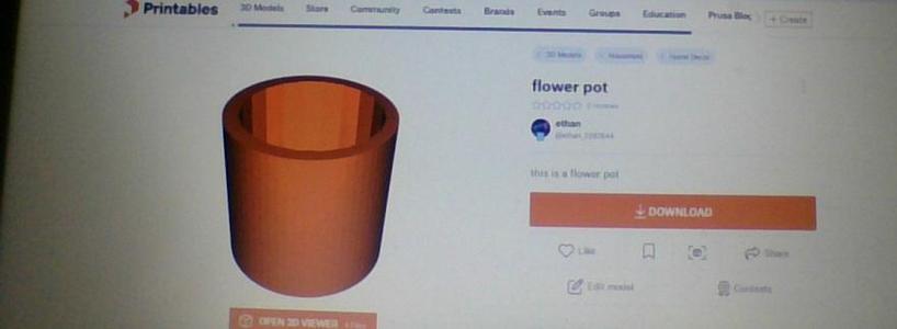 flower pot