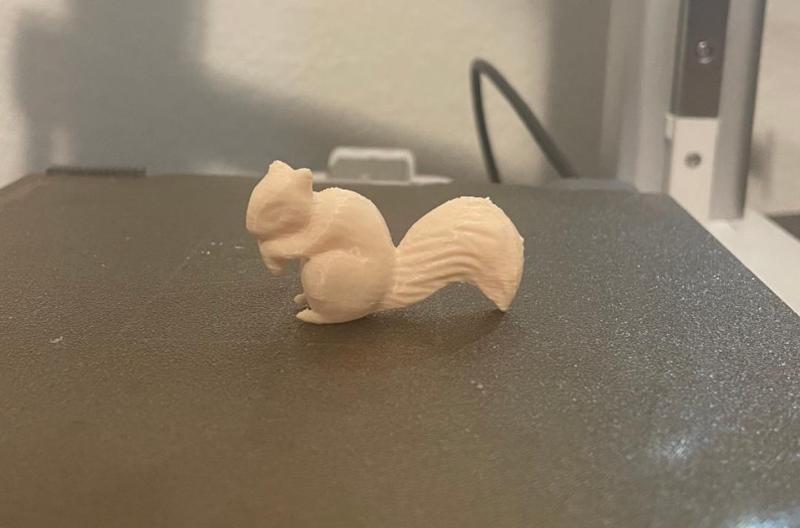 Teeny Tiny Squirrel (RIP Peanut)