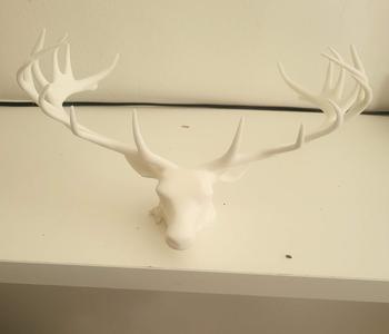 deer head 