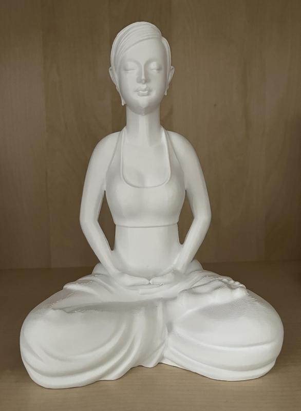 Female Yogini in Lotus Position