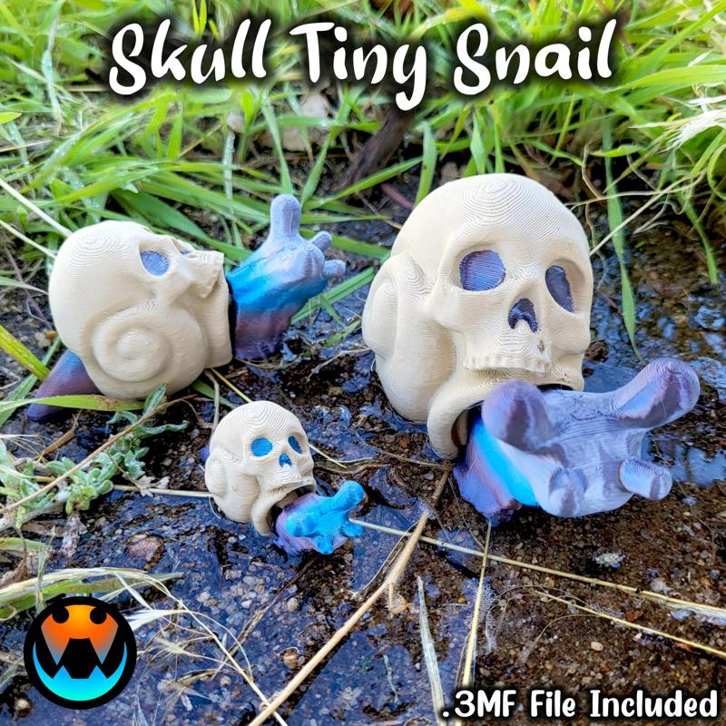 Tiny Skull Snail