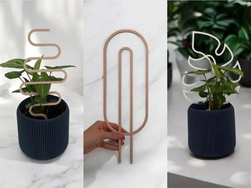 Simple Plant Support