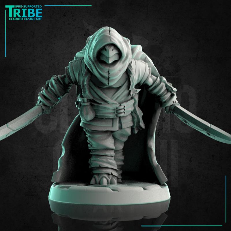 (0200) Male Turtle Rogue Thief with two knives and cape