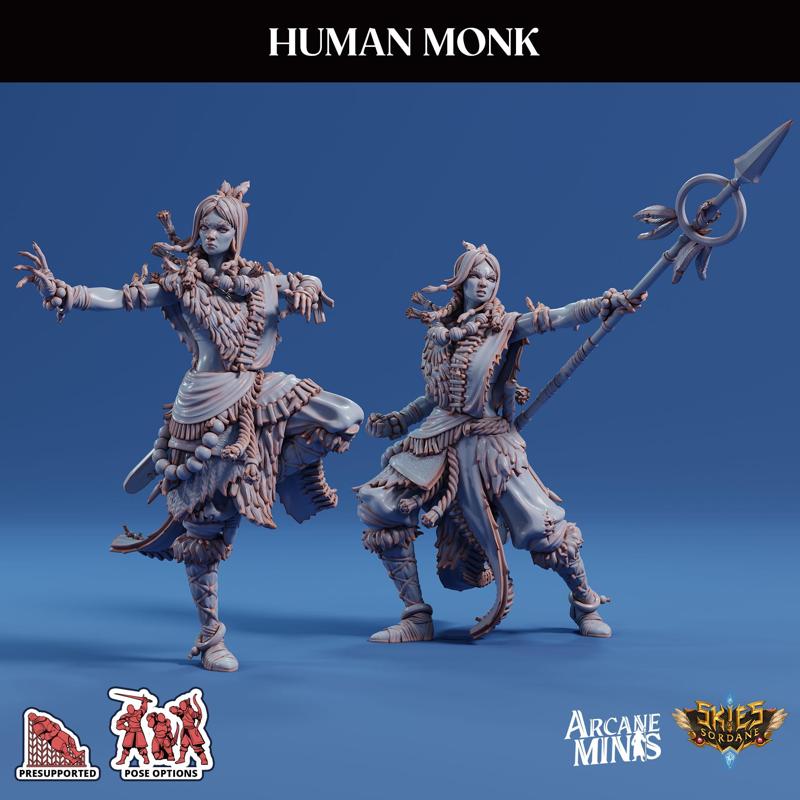 Human Monk - Female