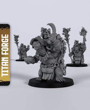 Tortle Male Druid - With Free Dragon  - 5e DnD Inspired for RPG and Wargamers